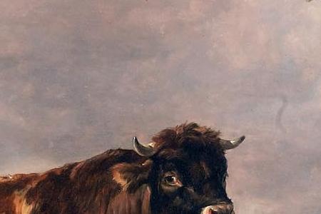 Фрагмент A bull and cows by a tree in a landscape