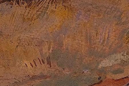 Фрагмент A cow grazing