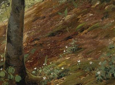 Фрагмент A FOREST STREAM