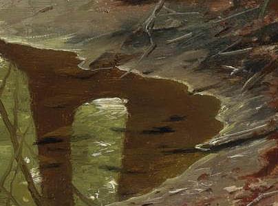 Фрагмент A FOREST STREAM