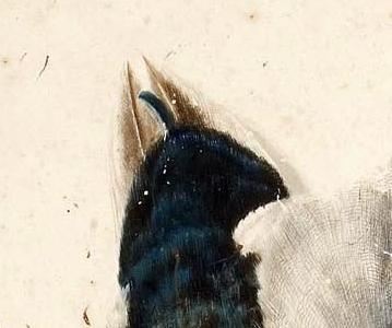 Фрагмент A HANGING MALLARD DRAKE