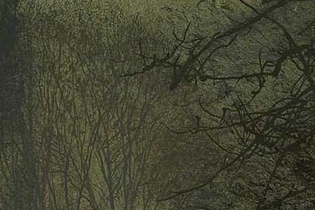 Фрагмент A moonlit lane