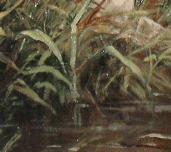 Фрагмент A Stopped Earth