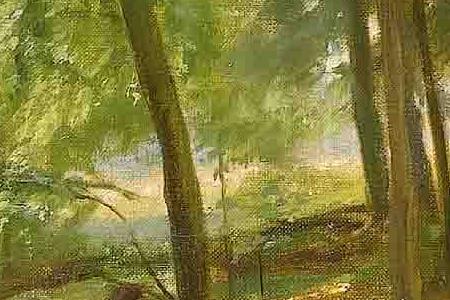 Фрагмент A sunlit wood