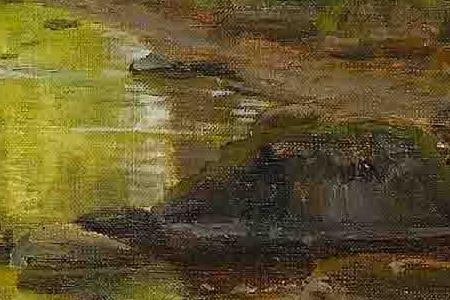 Фрагмент A sunlit wood