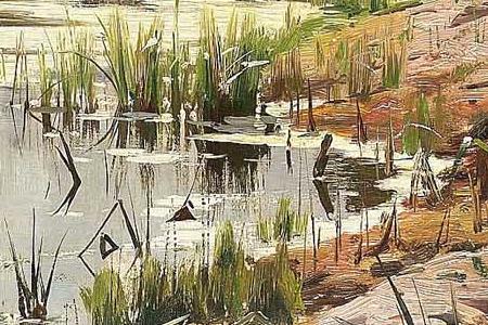 Фрагмент A tranquil river