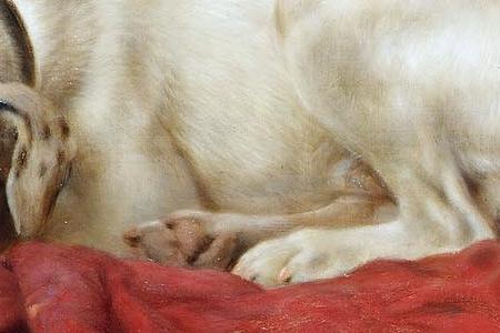 Фрагмент A watchful eye