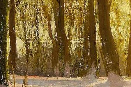 Фрагмент A Winter