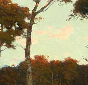 Фрагмент A woodland lake