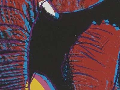 Фрагмент AFRICAN ELEPHANT на желтом фоне