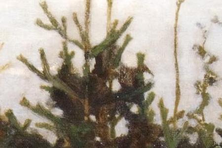 Фрагмент Аленушка. 1881.