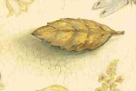 Фрагмент Altelier au Jirdin