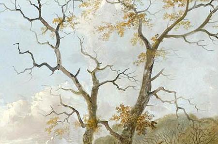 Фрагмент AND HENRY SHAYER