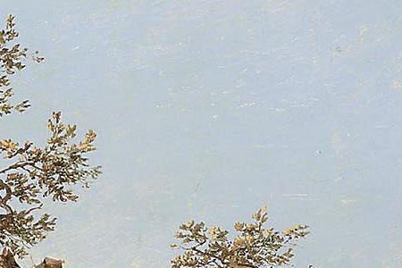 Фрагмент Animals beside a stream in an extensive lands