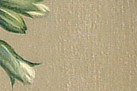 Фрагмент April Showers