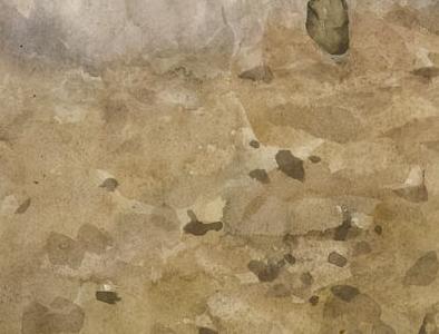 Фрагмент Арабские скачки