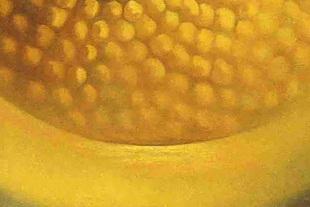 Фрагмент ascension gala