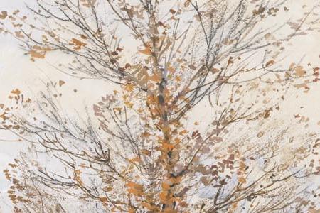 Фрагмент ASSEMBLE NATIONALE ET LE PONT DE LA CONCORDE