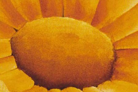 Фрагмент Астры