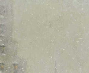 Фрагмент At the Library, Winter