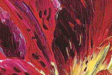 Фрагмент Attention Seeker