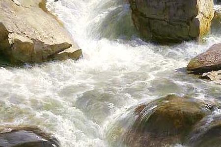 Фрагмент AUF DEM WEG NACH ROSENLAUI BERNER OBERLAND