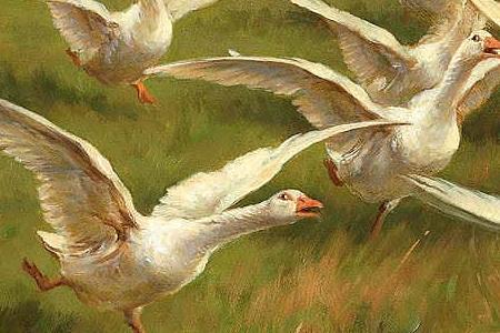 Фрагмент Away Away