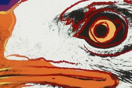 Фрагмент BALD EAGLE на фоне голубого неба