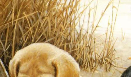 Фрагмент Bass Masters