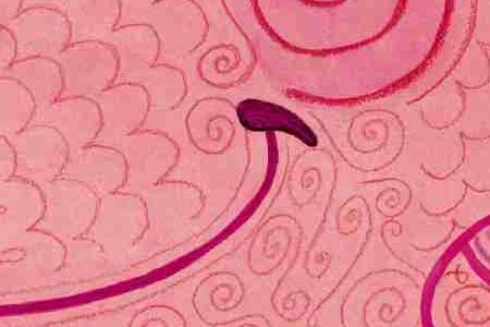 Фрагмент Бегемотик