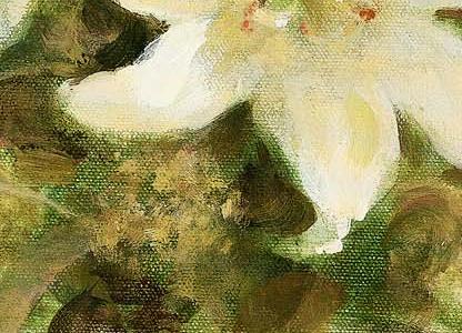 Фрагмент Белые лилии ы банке