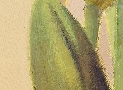 Фрагмент Белые Тюльпаны