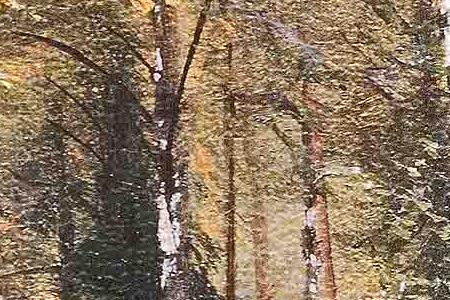 Фрагмент Березовая роща.