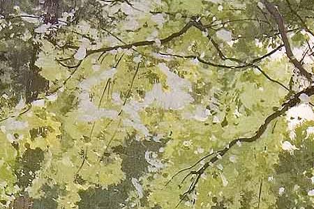 Фрагмент Березовый лес.1908.