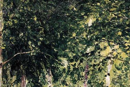 Фрагмент Берёзовая роща