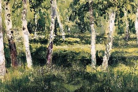 Фрагмент Берёзовая роща