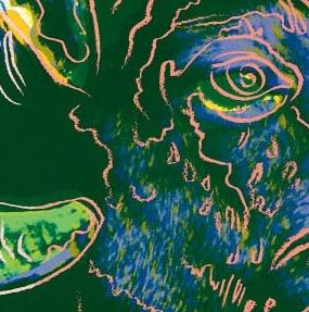 Фрагмент Bighorn Ram from Endangered Species зеленые рога и серый фон