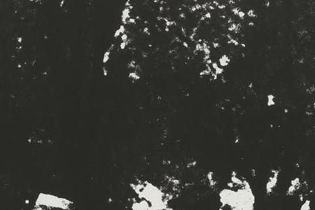 Фрагмент BIRMINGHAM RACE RIOT