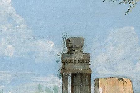 Фрагмент Bison Palmanova