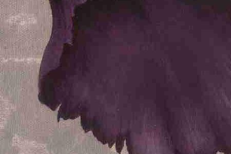 Фрагмент BLACK PLUM 1