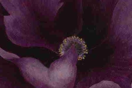 Фрагмент BLACK PLUM 2