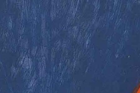 Фрагмент БРИЖИТ БАРДО