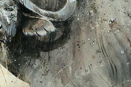 Фрагмент Buffalo in Liwonde