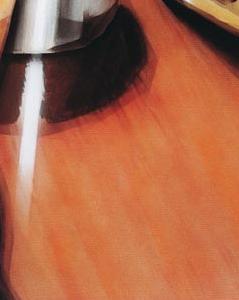 Фрагмент Буталка Текила