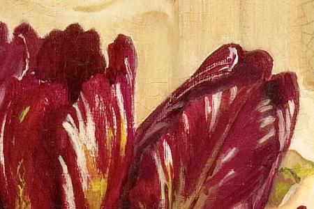 Фрагмент Butterfly tulip.