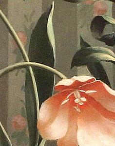 Фрагмент Cache Pot with Lily