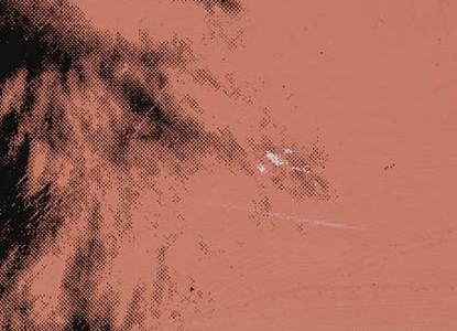 Фрагмент CAT розовый