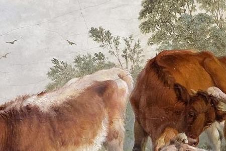 Фрагмент Cattle