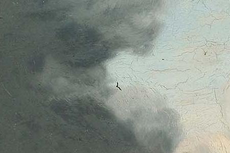 Фрагмент Cattle