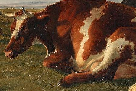 Фрагмент Cattle in a meadow